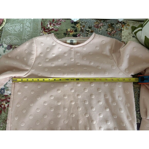Women’s Anthropologie Pink Sweatshirt Cottage Core Textured medium Lili's Closet - Picture 5 of 6